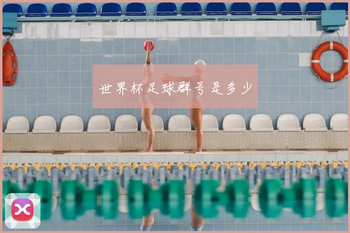 世界杯足球群号是多少