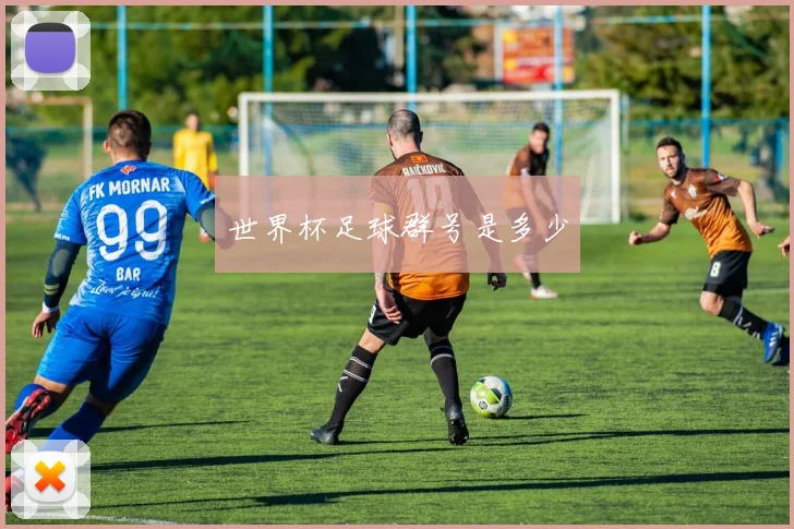 世界杯足球群号是多少
