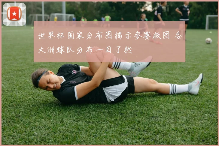 世界杯国家分布图揭示参赛版图 各大洲球队分布一目了然