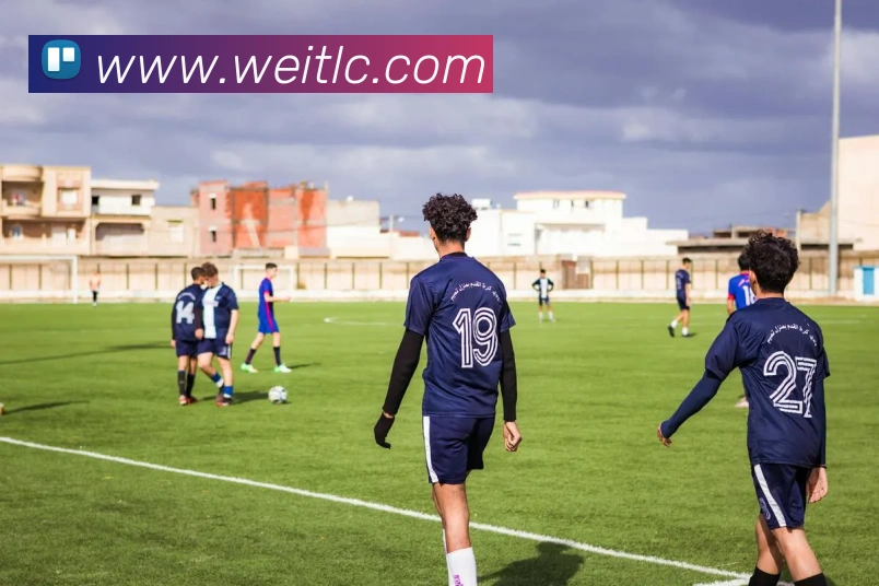 未来规划