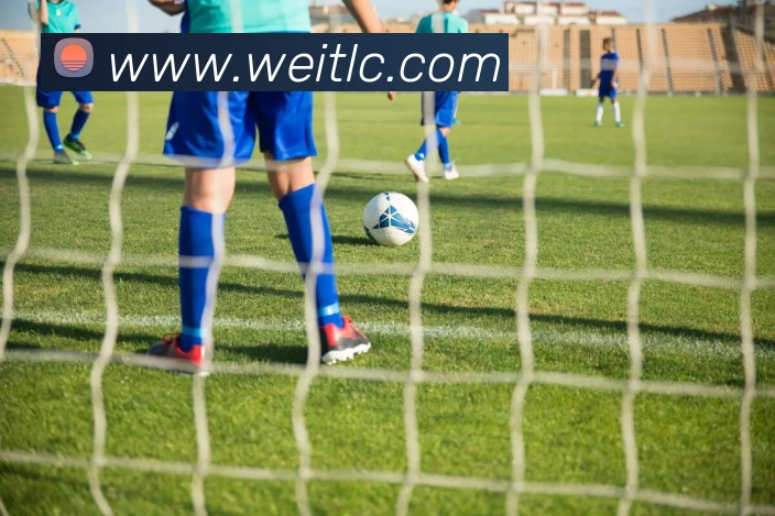 买球官方全站App 买球官方全站App